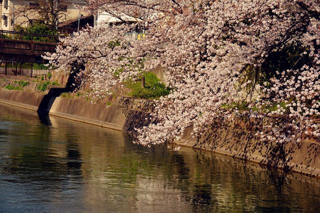 Art Stay In Tofukuji Киото Экстерьер фото